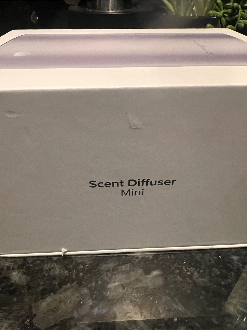 Sentiment Mini Diffuser Silver - Picture 7 of 8